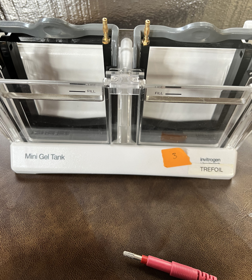 Invitrogen Electrophoresis System: 1x PowerEase Touch 350W; 3x Mini Gel Tanks; 6x Mini Blot Modules; SN:PS0350220609010, photo 5 of 24