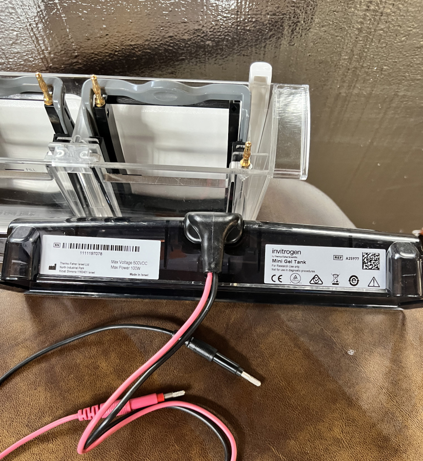 Invitrogen Electrophoresis System: 1x PowerEase Touch 350W; 3x Mini Gel Tanks; 6x Mini Blot Modules; SN:PS0350220609010, photo 7 of 24