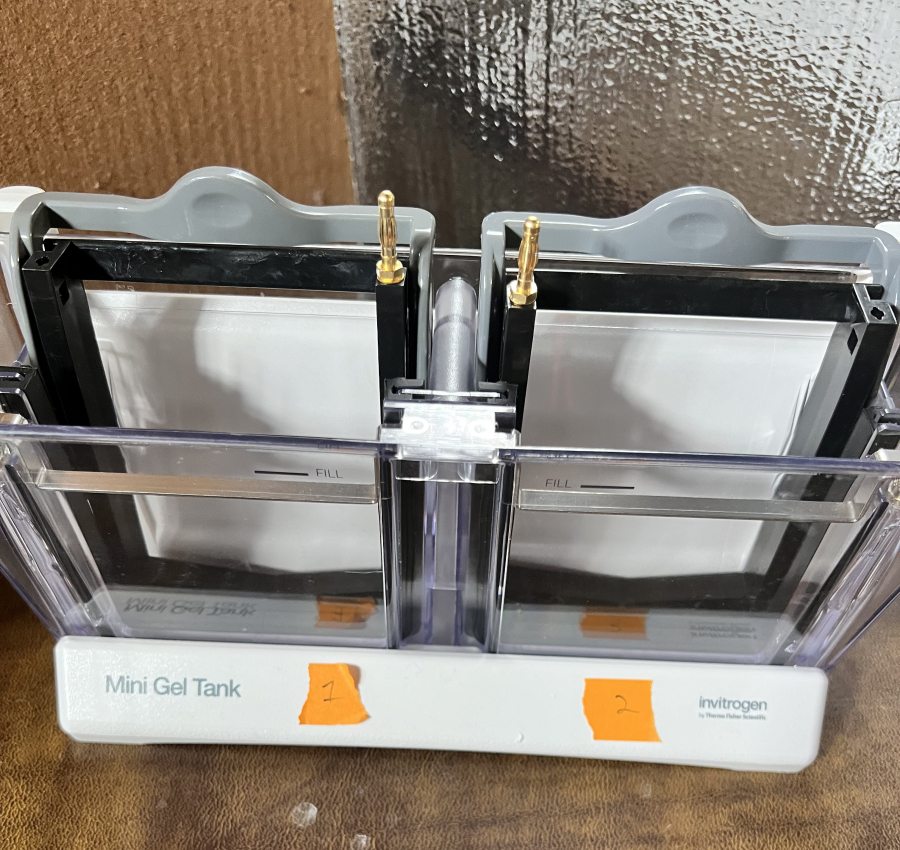 Invitrogen Electrophoresis System: 1x PowerEase Touch 350W; 3x Mini Gel Tanks; 6x Mini Blot Modules; SN:PS0350220609010, photo 6 of 24
