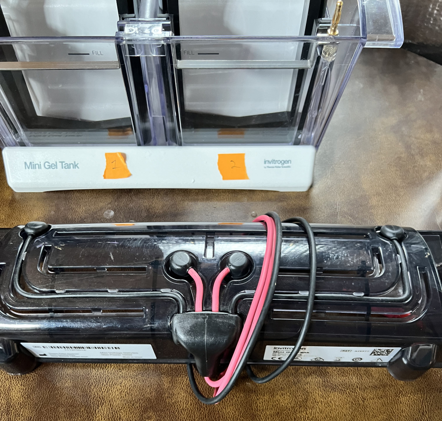 Invitrogen Electrophoresis System: 1x PowerEase Touch 350W; 3x Mini Gel Tanks; 6x Mini Blot Modules; SN:PS0350220609010, photo 12 of 24