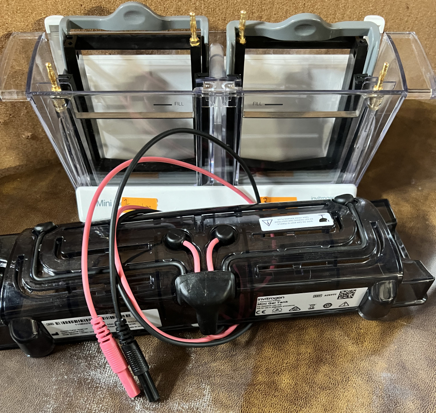 Invitrogen Electrophoresis System: 1x PowerEase Touch 350W; 3x Mini Gel Tanks; 6x Mini Blot Modules; SN:PS0350220609010, photo 14 of 24