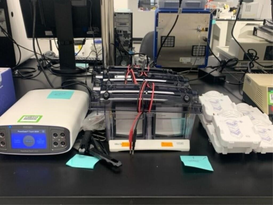 Invitrogen Electrophoresis System: 1x PowerEase Touch 350W; 3x Mini Gel Tanks; 6x Mini Blot Modules; SN:PS0350220609010, photo 1 of 24