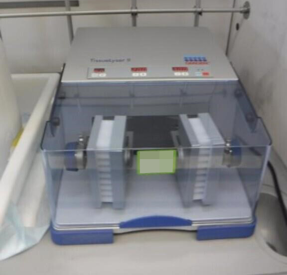 QIAGEN TissueLyser II; SN:1220141119E, photo 3 of 6
