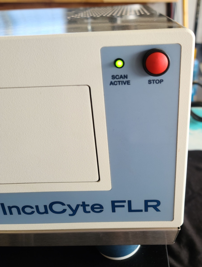 Essen BioScience Cell Imaging System IncuCyte FLR Microscope & Controller; SN:35183/30183, photo 10 of 21