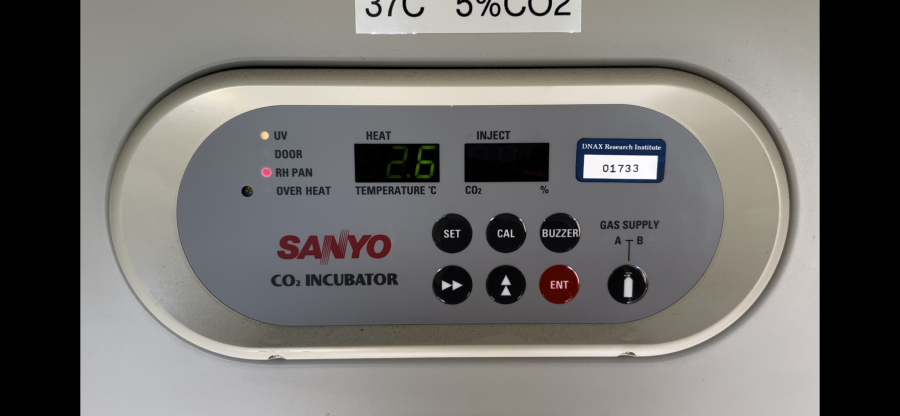 Sanyo MCO-20AIC Dual-Stack CO2 Incubator; 51217403, 51217396, photo 5 of 9