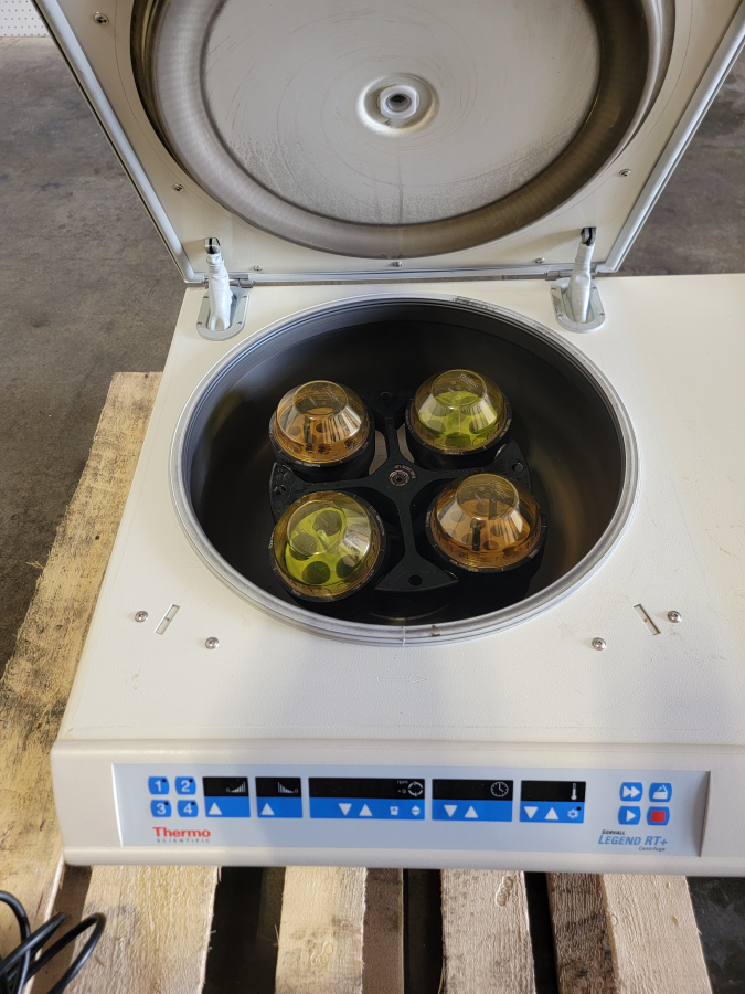 Thermo Scientific Sorvall Legend RT+ Plus Refrigerated Centrifuge With Swing Bucket Rotor, photo 3 of 10
