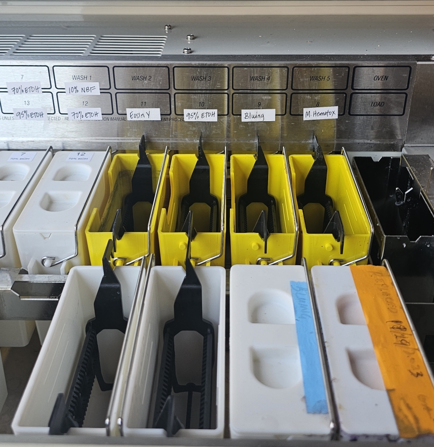 LEICA AUTOSTAINER XL Automated slide stainer ST5010 ; SN:3889/07-2014, photo 35 of 38