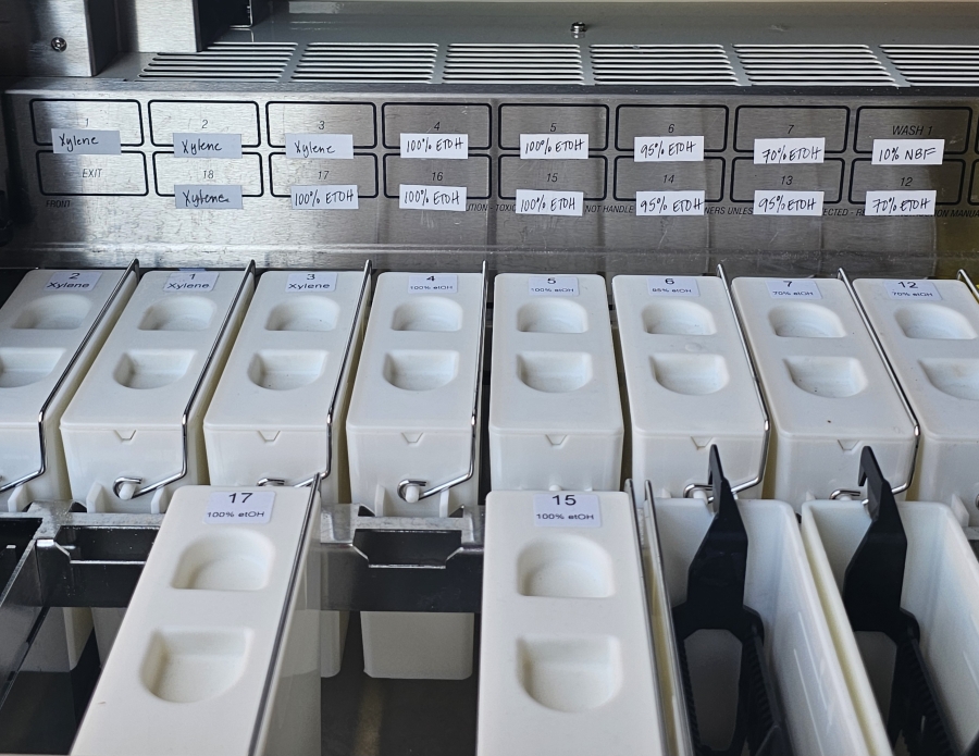 LEICA AUTOSTAINER XL Automated slide stainer ST5010 ; SN:3889/07-2014, photo 36 of 38